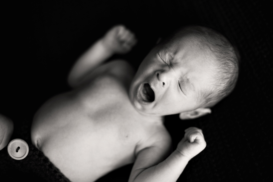newborn session plymouth minneapolis baby photographer