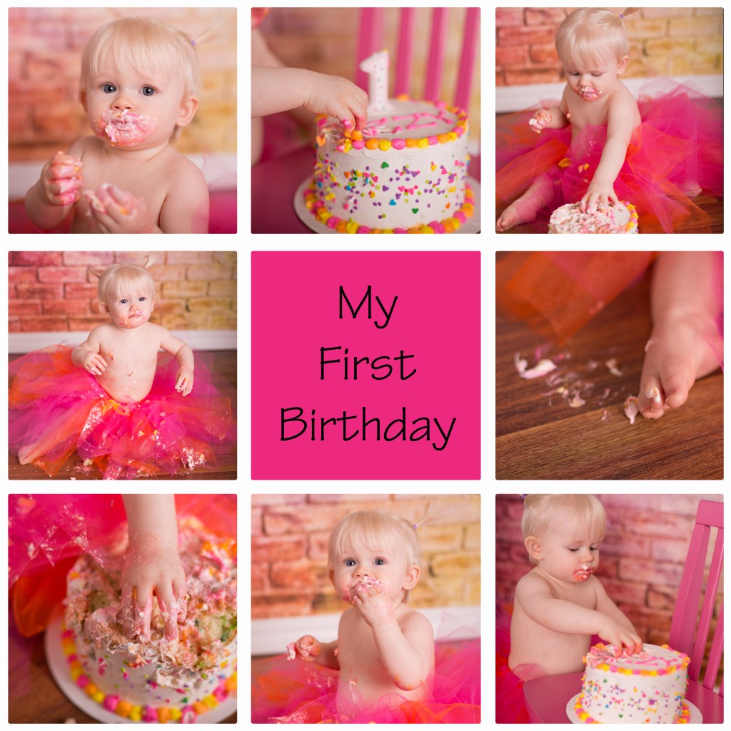 cake smash, first birthday, one year photo session, plymouth mn baby photographer