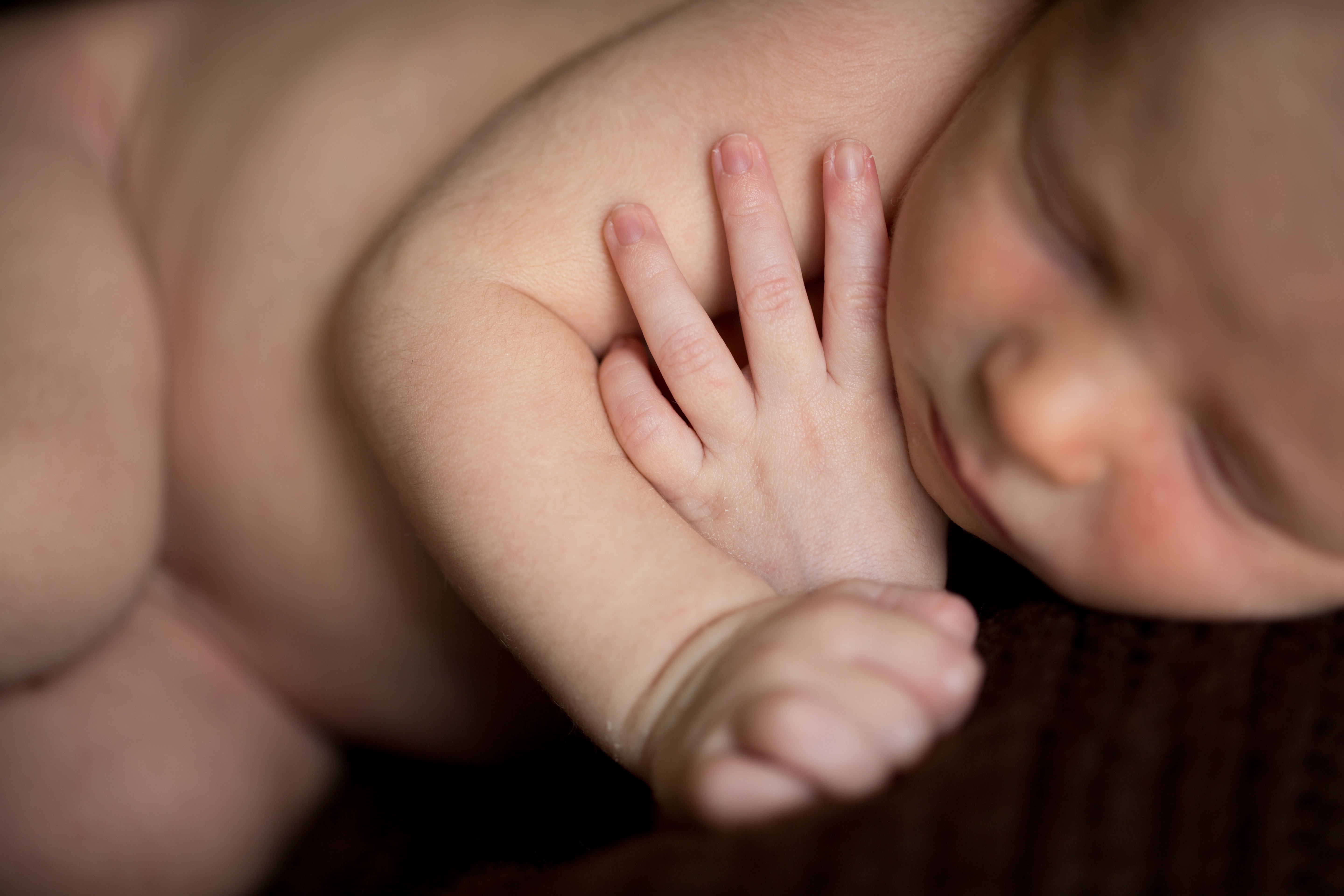 newborn session plymouth minneapolis baby photographer