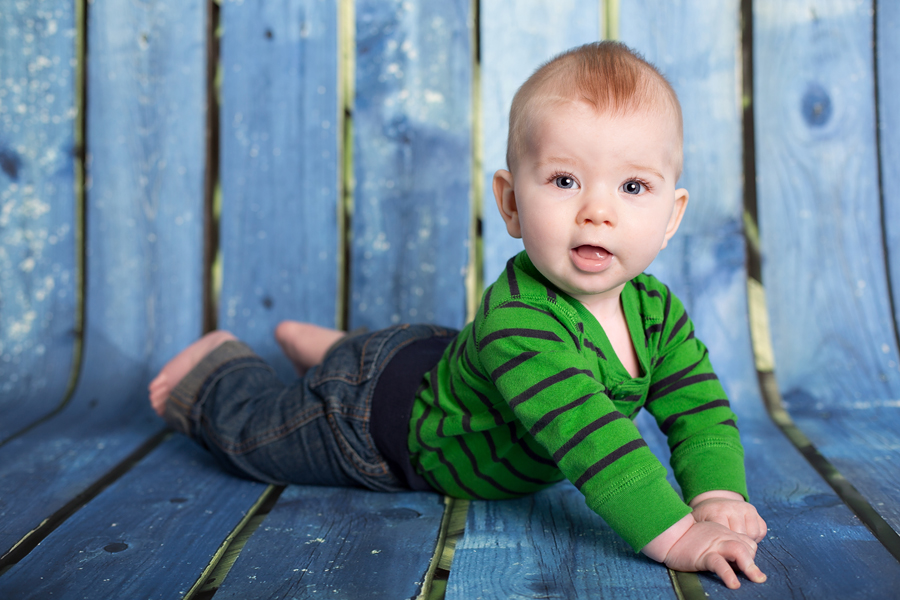 6 month baby photo session plymouth minneapolis baby photographer