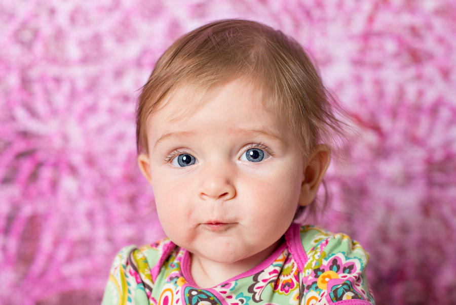 6 month baby photo session plymouth minneapolis baby photographer