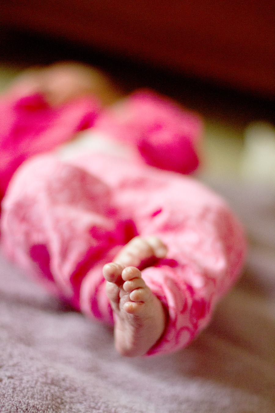 newborn session plymouth minneapolis baby photographer