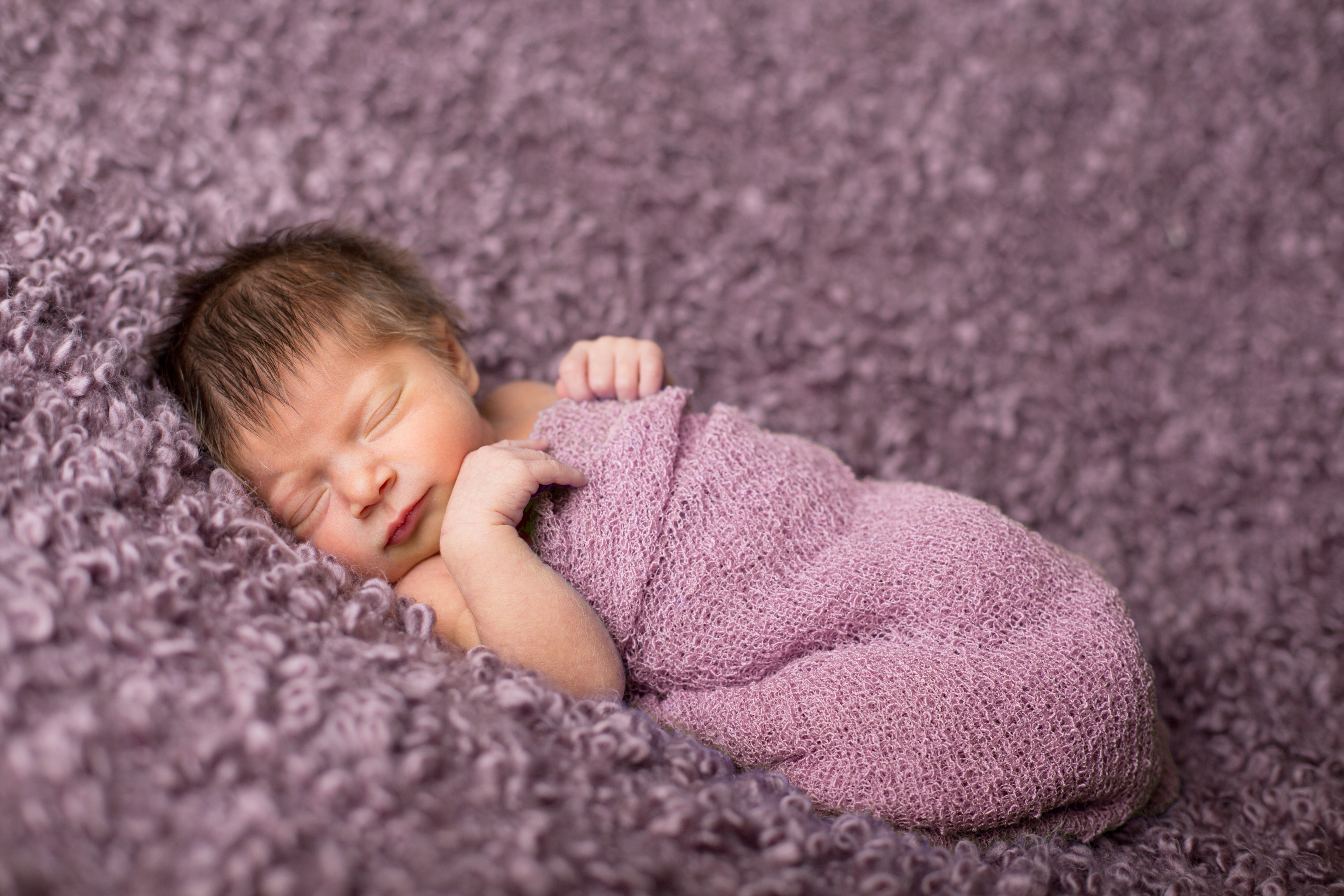 newborn session plymouth minneapolis baby photographer