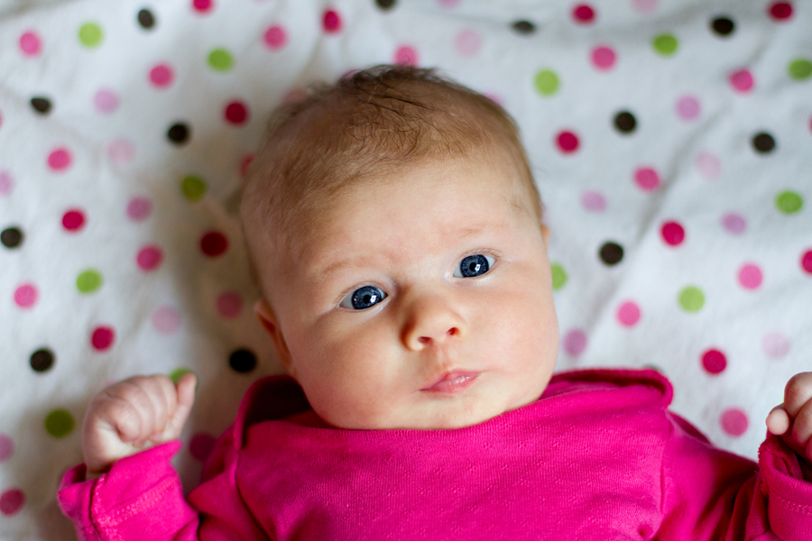 plymouth mn in-home newborn session