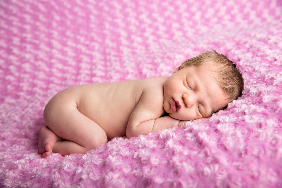 newborn session plymouth minneapolis baby photographer