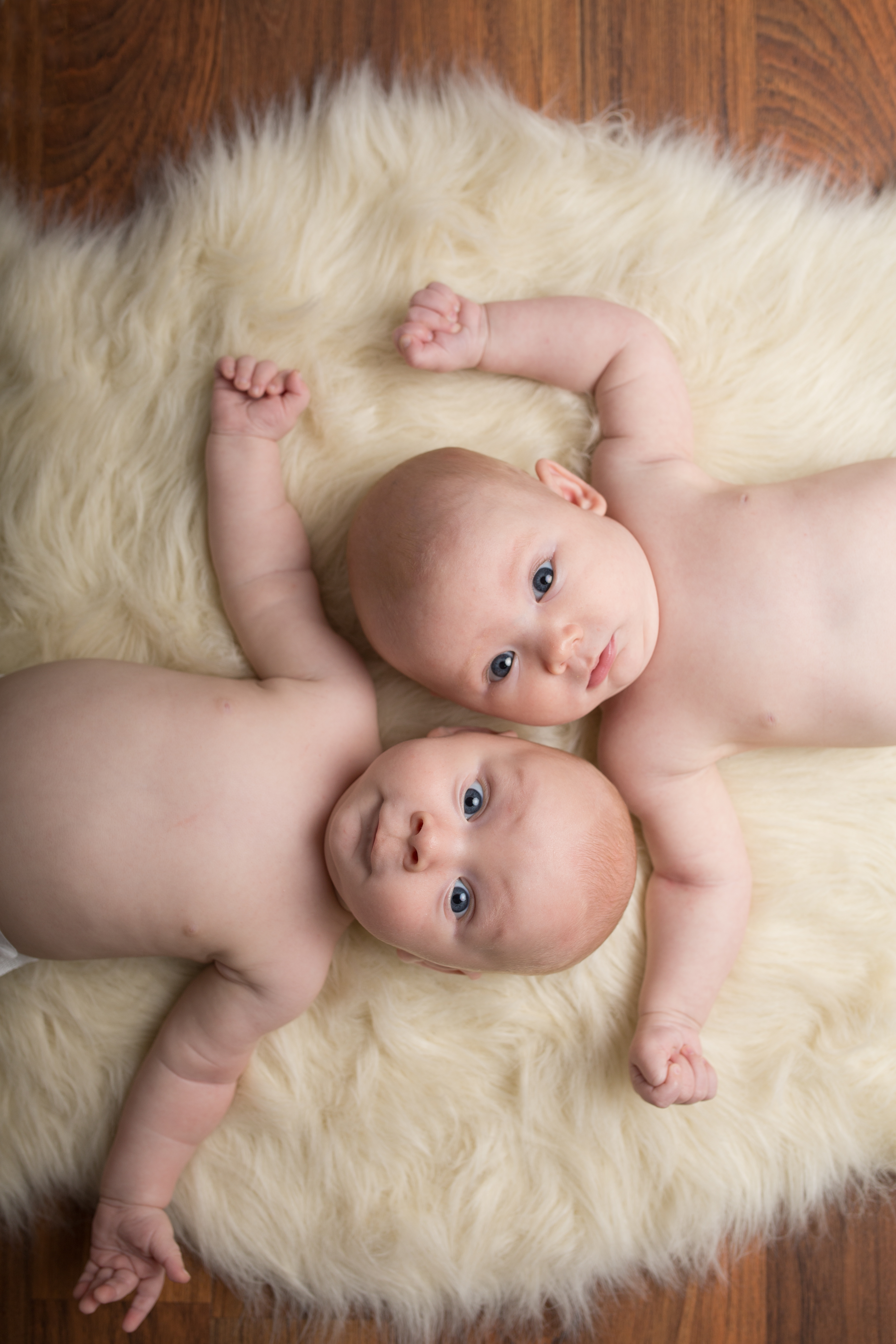 three month old twins photo sessions