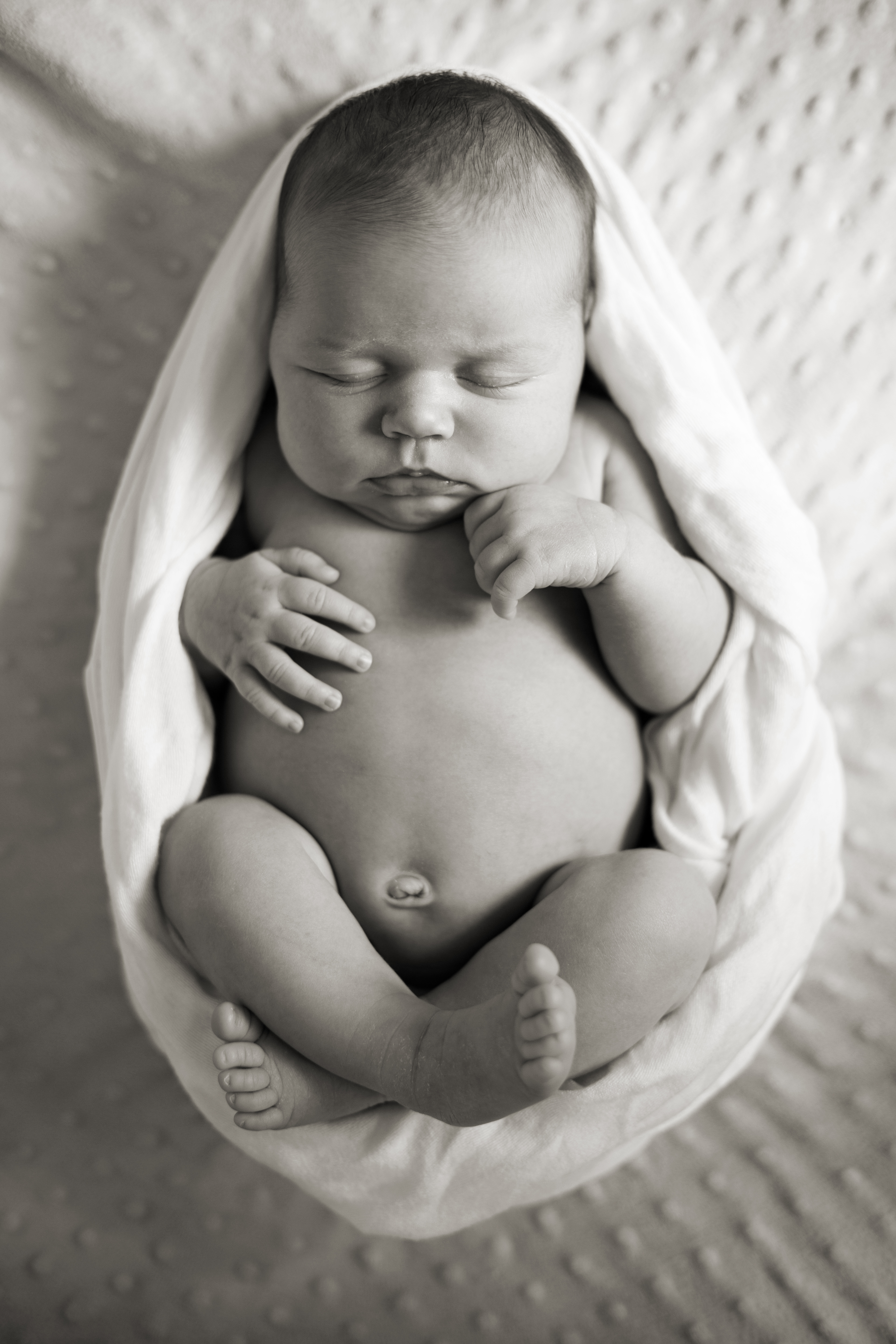 newborn session plymouth minneapolis baby photographer