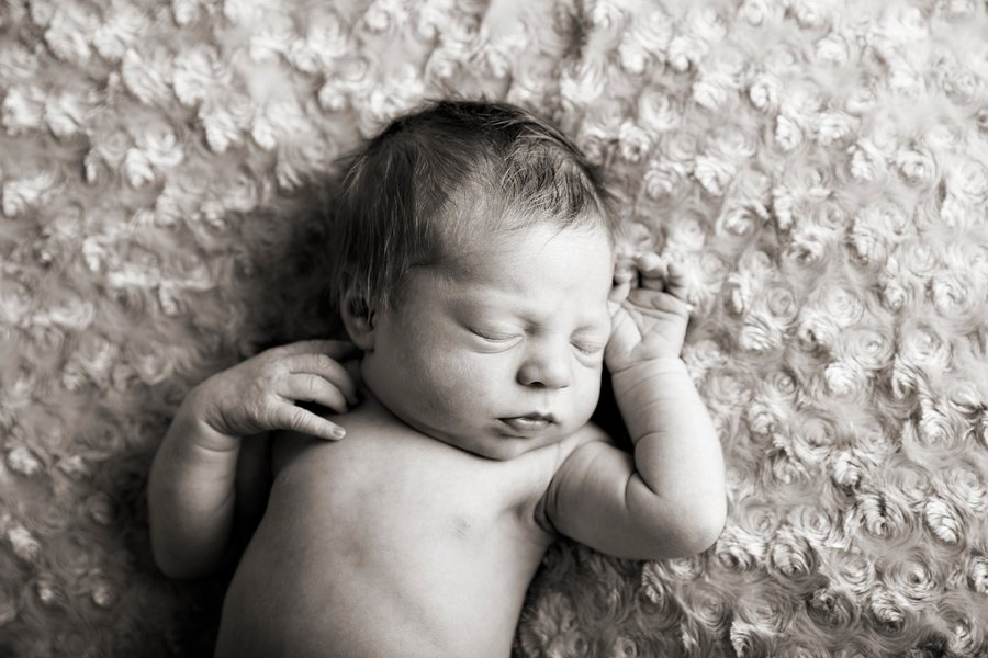 newborn session plymouth minneapolis baby photographer