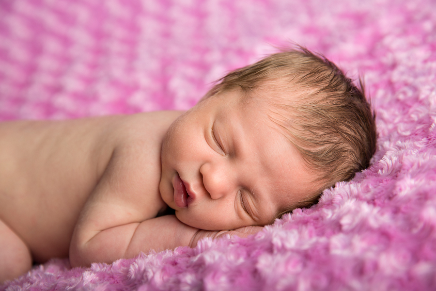 newborn session plymouth minneapolis baby photographer