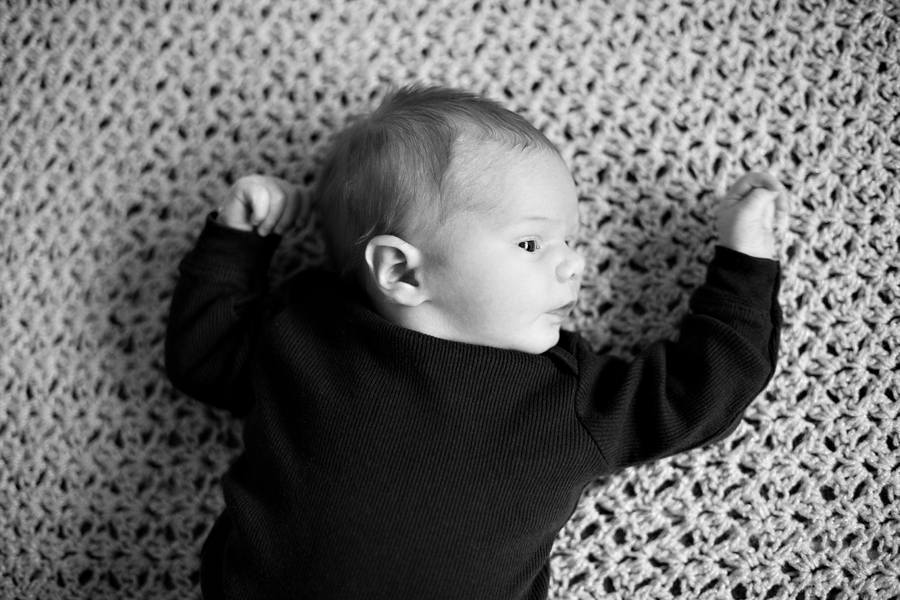 newborn session plymouth minneapolis baby photographer