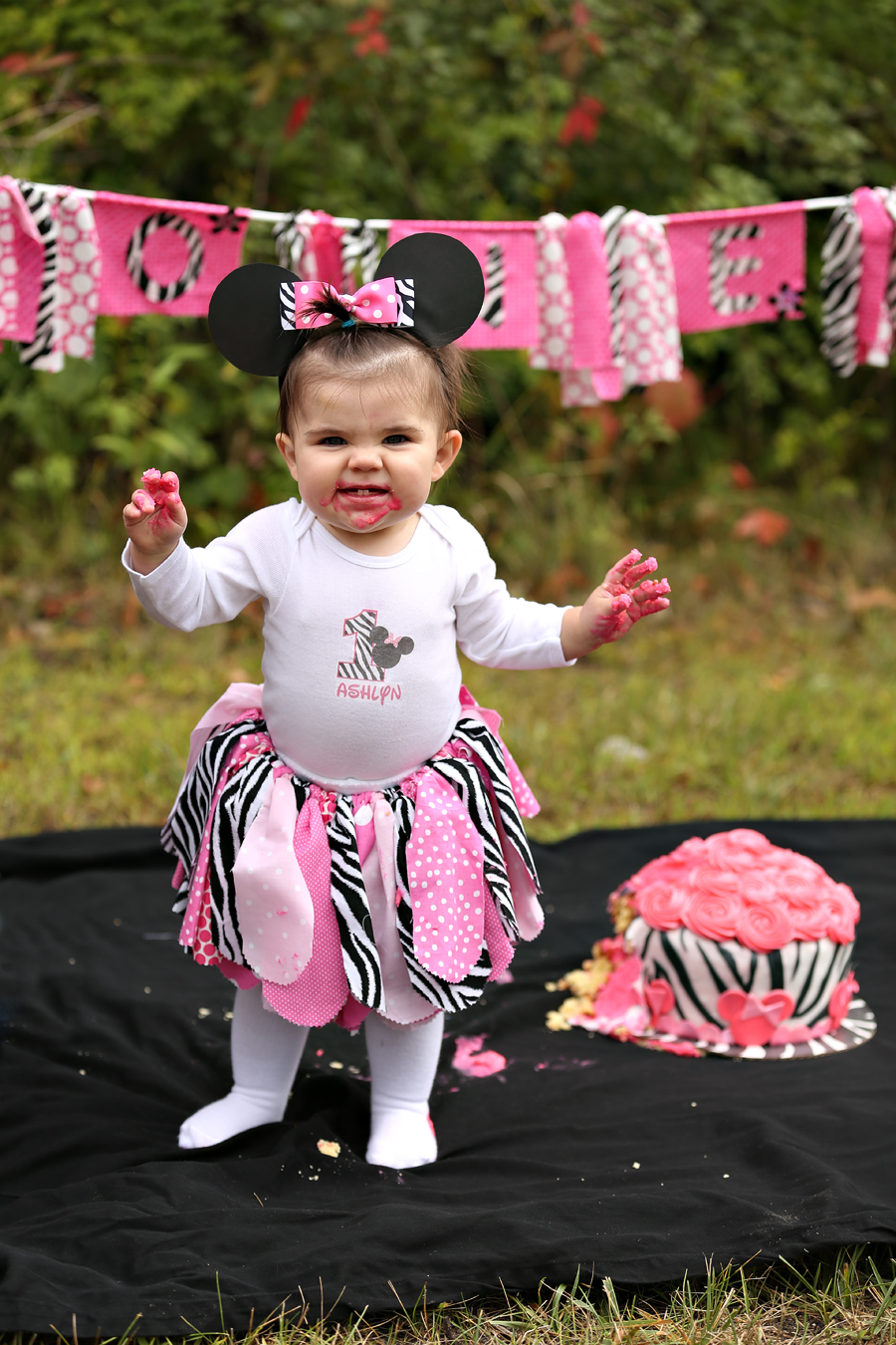 one year old photo session plymouth minneapolis baby photographer