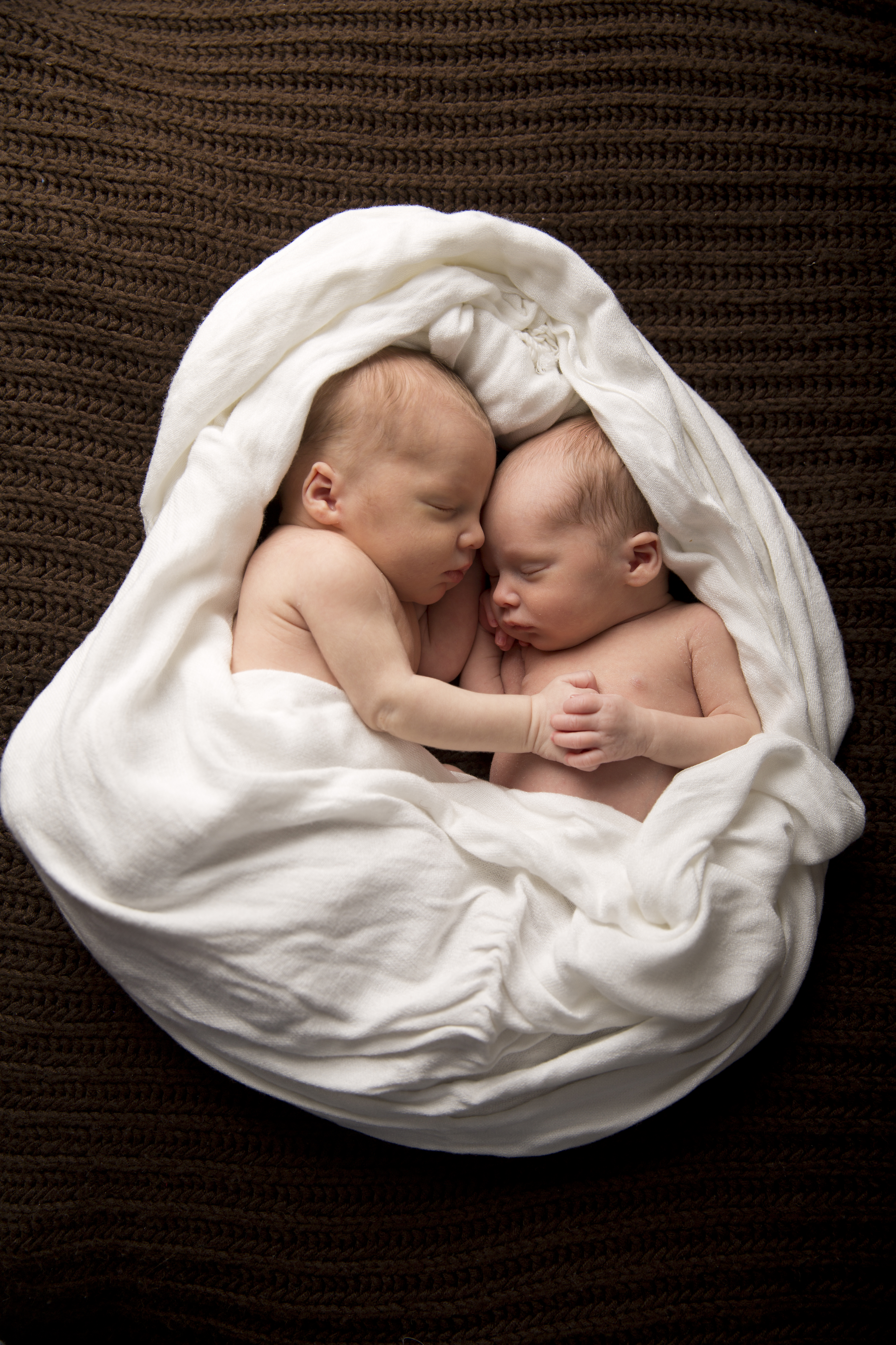 wayzata newborn photographer twin newborn photo session