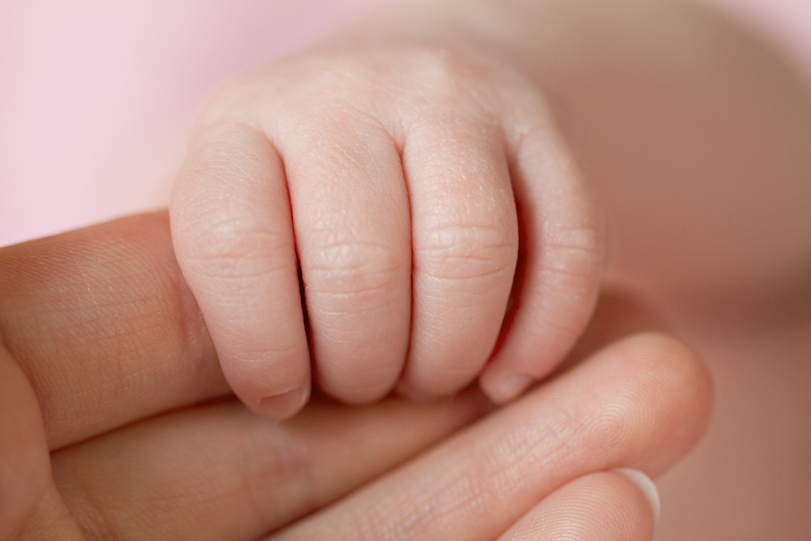 newborn session plymouth minneapolis baby photographer