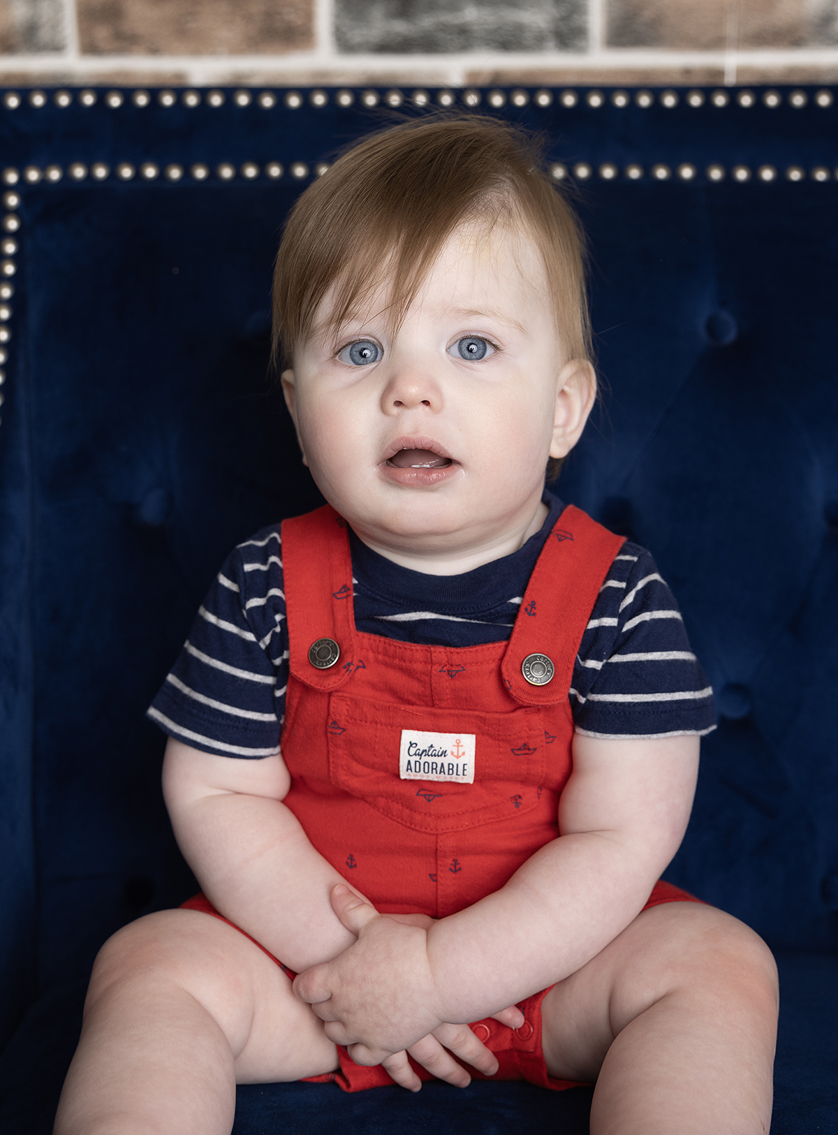 milestone baby session plymouth mn photographer