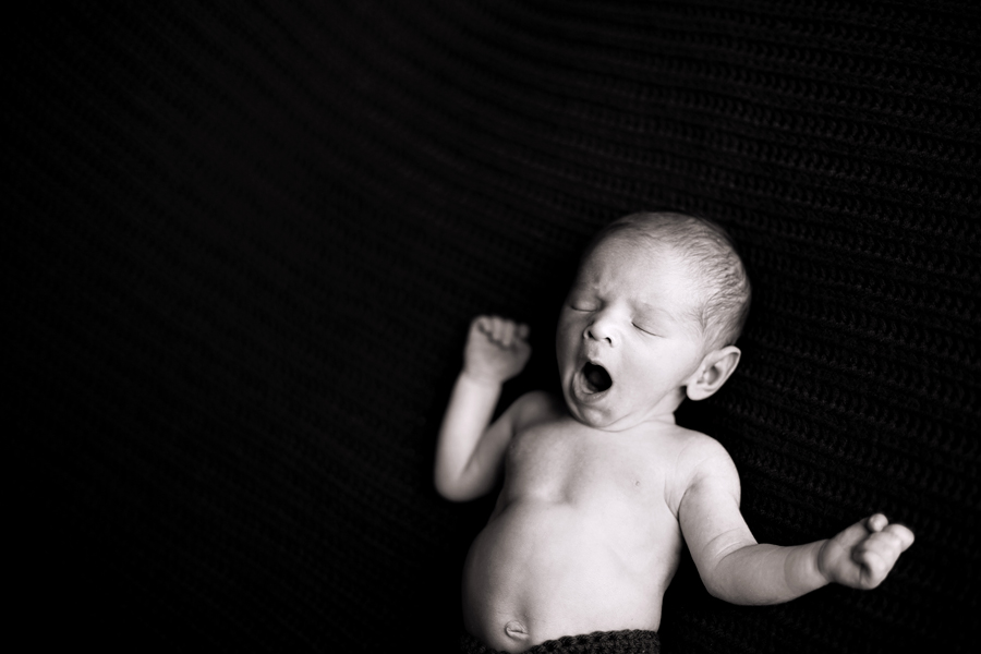 newborn session plymouth minneapolis baby photographer