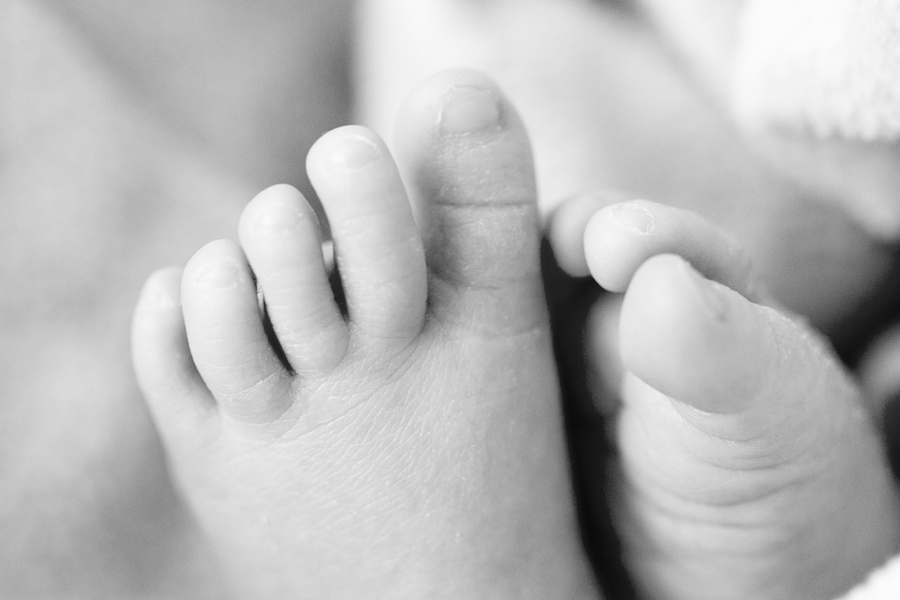 newborn session plymouth minneapolis baby photographer