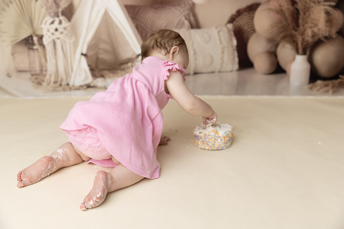 baby cake smash plymouth mn photographer