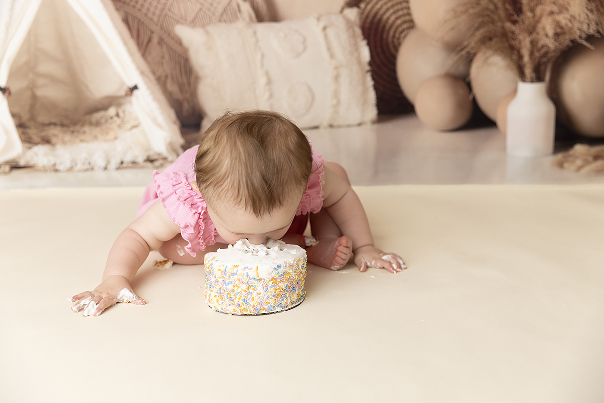 Face plant cake smash one year photos plymouth Minnesota