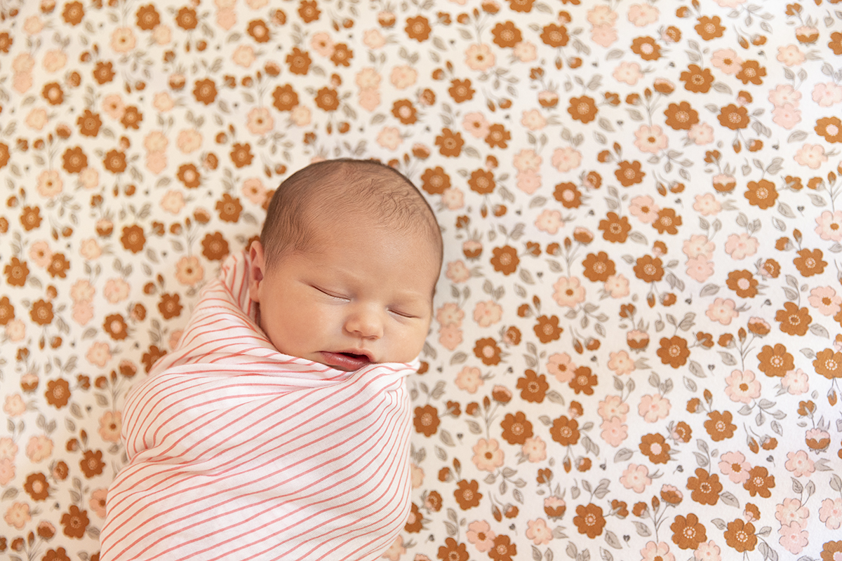 in-home newborn session wayzata photographer
