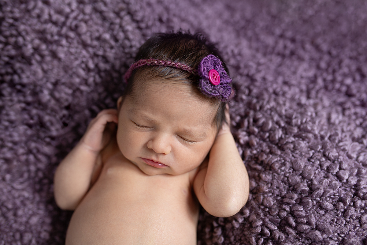 Minnetonka newborn photographer