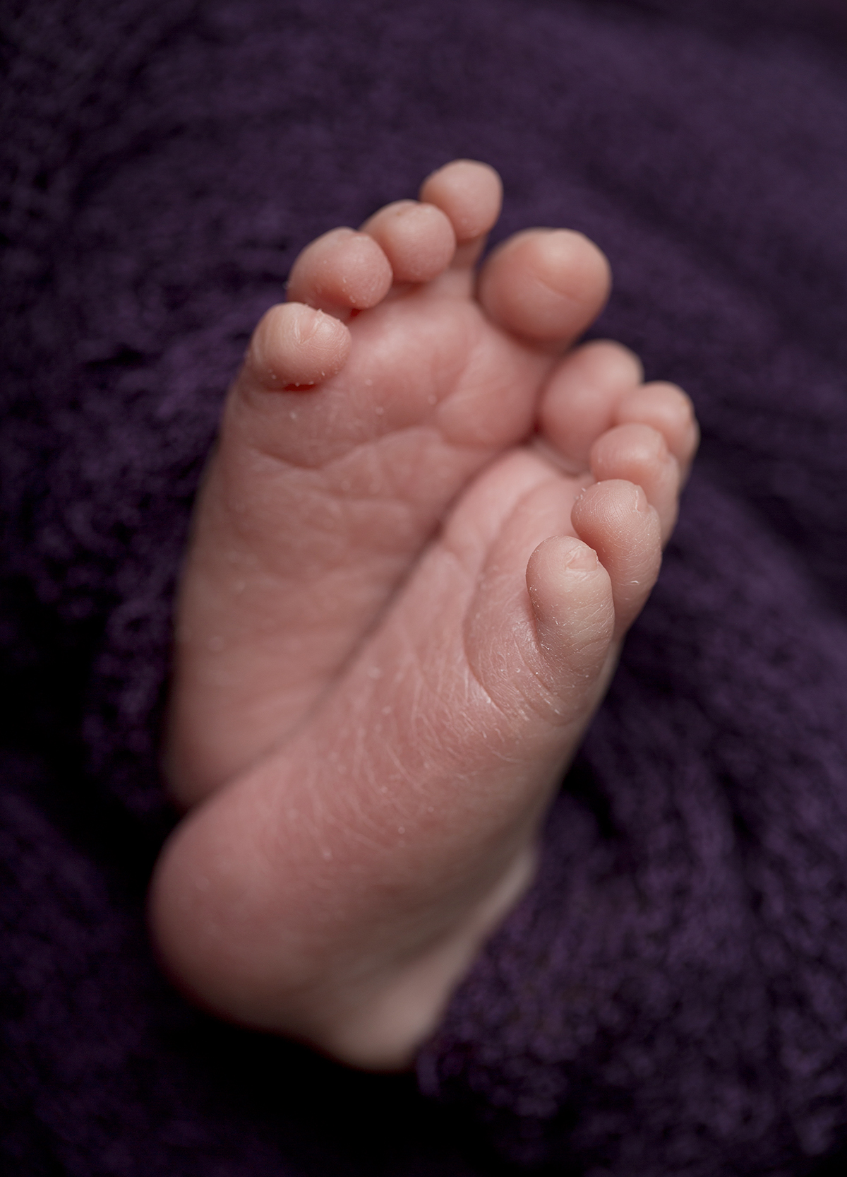 newborn photography detail image