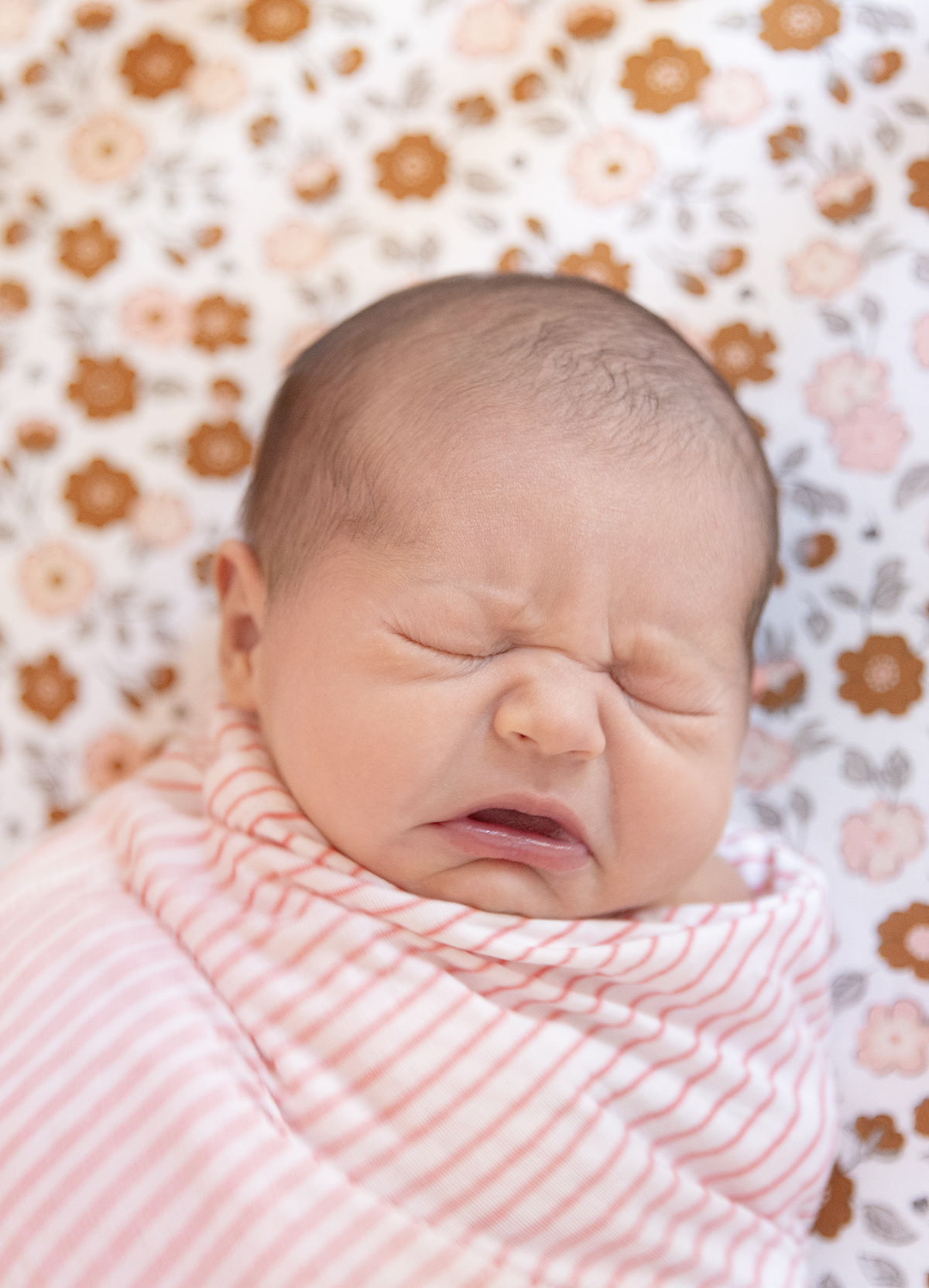 newborn sneeze photo session minnesota