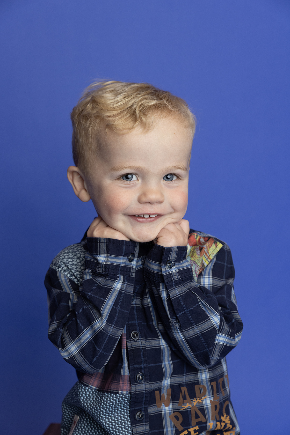 Two year old milestone portraits minneapolis