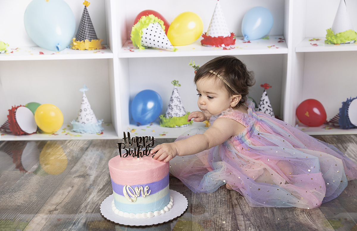 one year session plymouth minnesota photographer