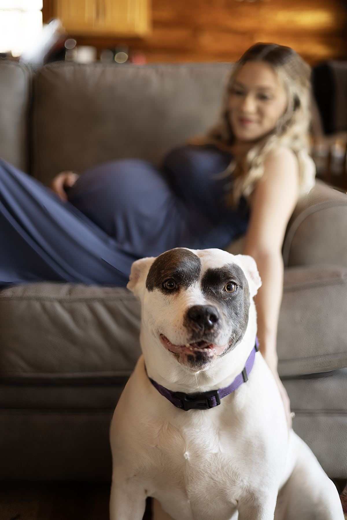 lifestyle maternity session minnesota photographer dog smile