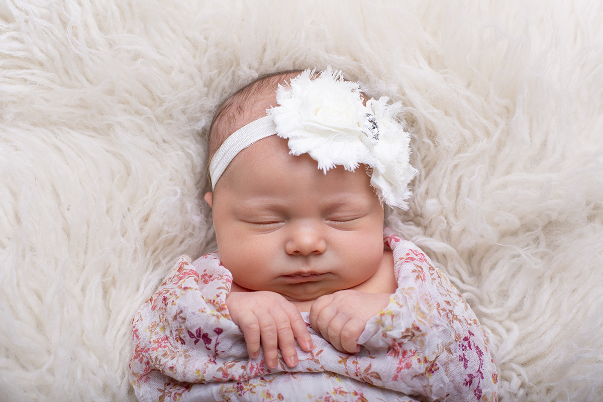 minnesota studio photographer