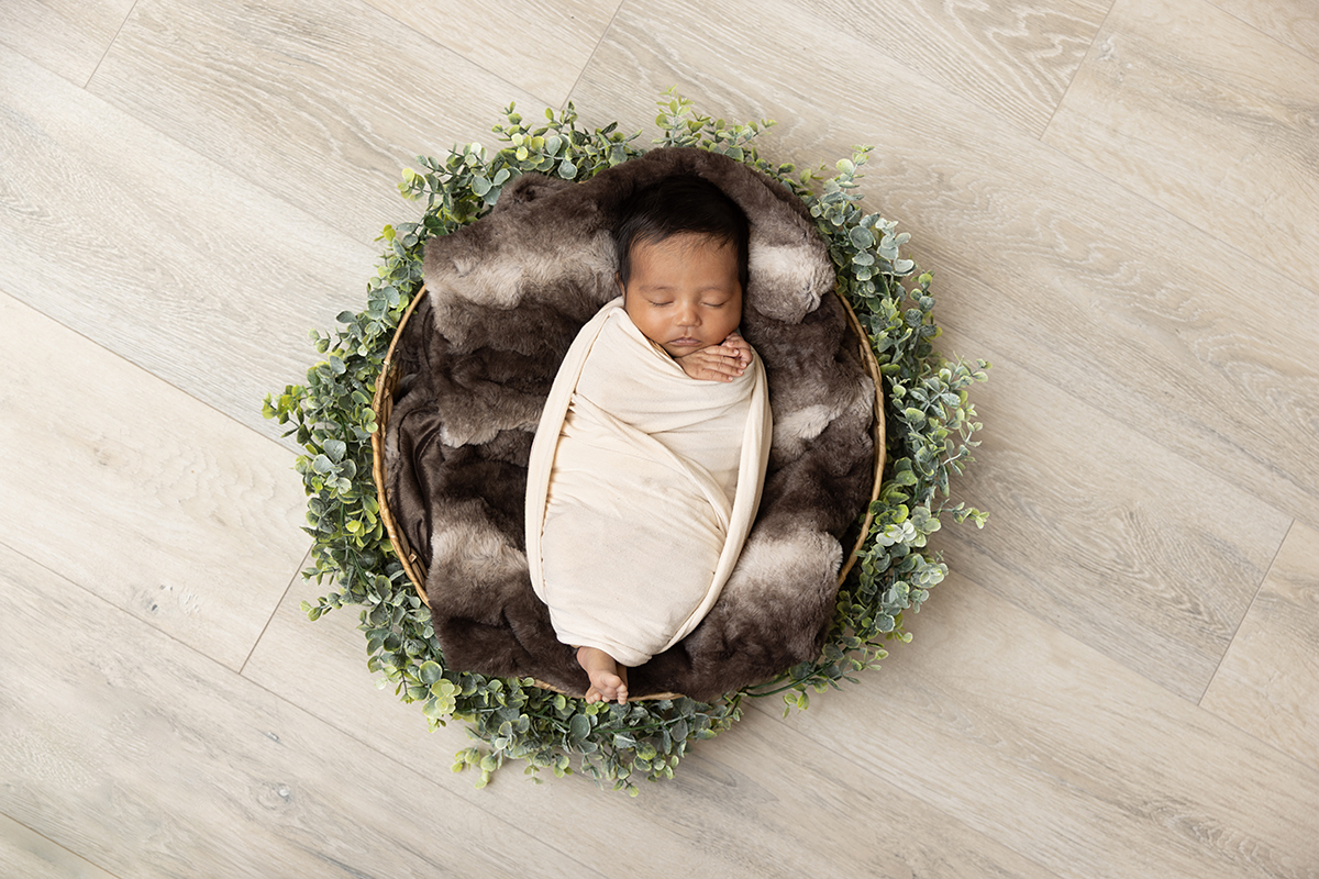 wrapped newborn portraits best minnetonka baby photographer