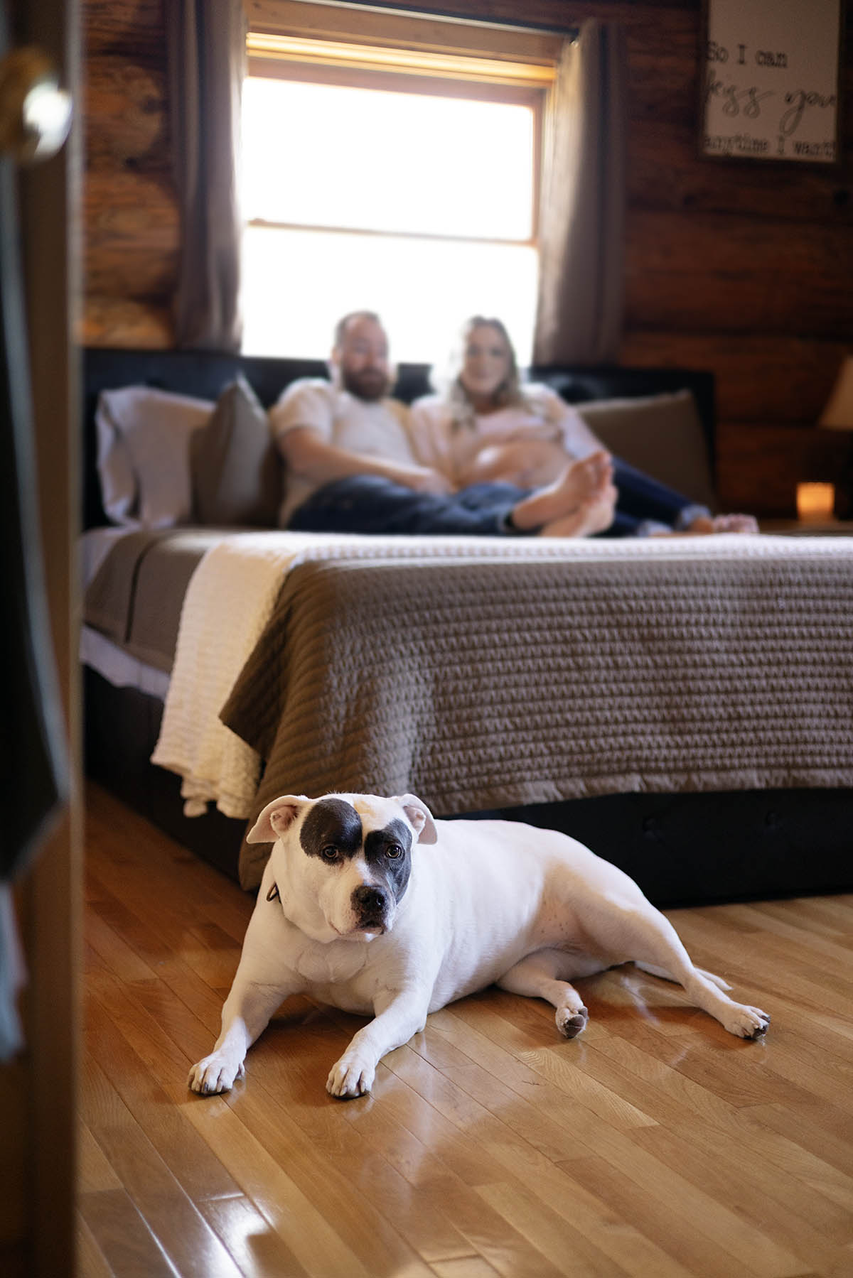 Dog guarding new parents
